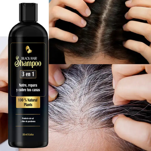 BLACK HAIR – SHAMPOO CUBRE CANAS AL INSTANTE